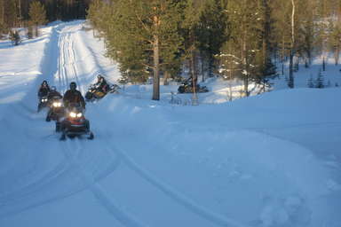 Schneemobilsafari in Lappland